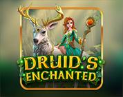 Druid`s Enchanted